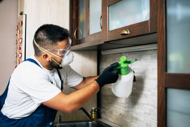 Best Local Pest Control Services  in Eatontown, NJ