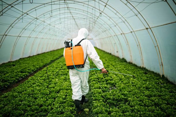 Best Pest Removal Services  in Eatontown, NJ