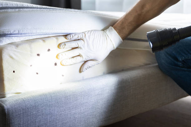 Best Emergency Pest Control  in Eatontown, NJ