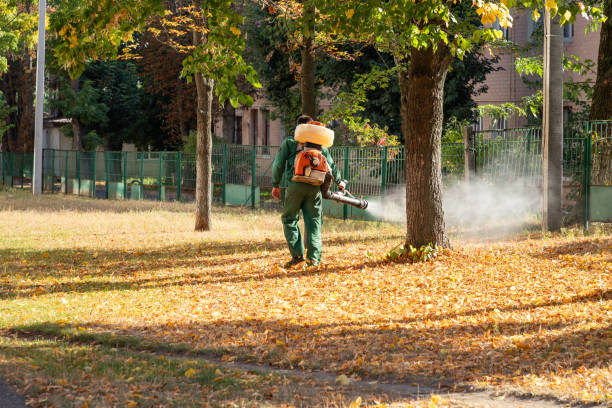 Best Spider Control Near Me  in Eatontown, NJ
