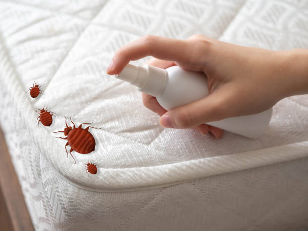 Pest Prevention Services in Eatontown, NJ