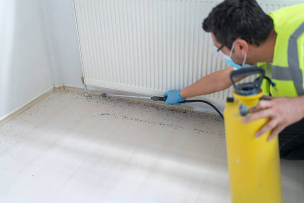 Best Insect Control  in Eatontown, NJ