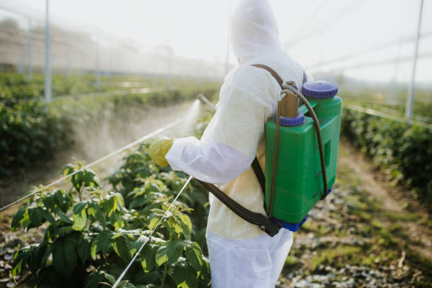 Best Wasp Removal Services  in Eatontown, NJ